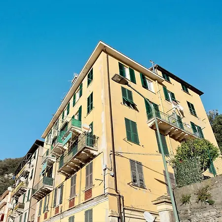 La Conchiglia